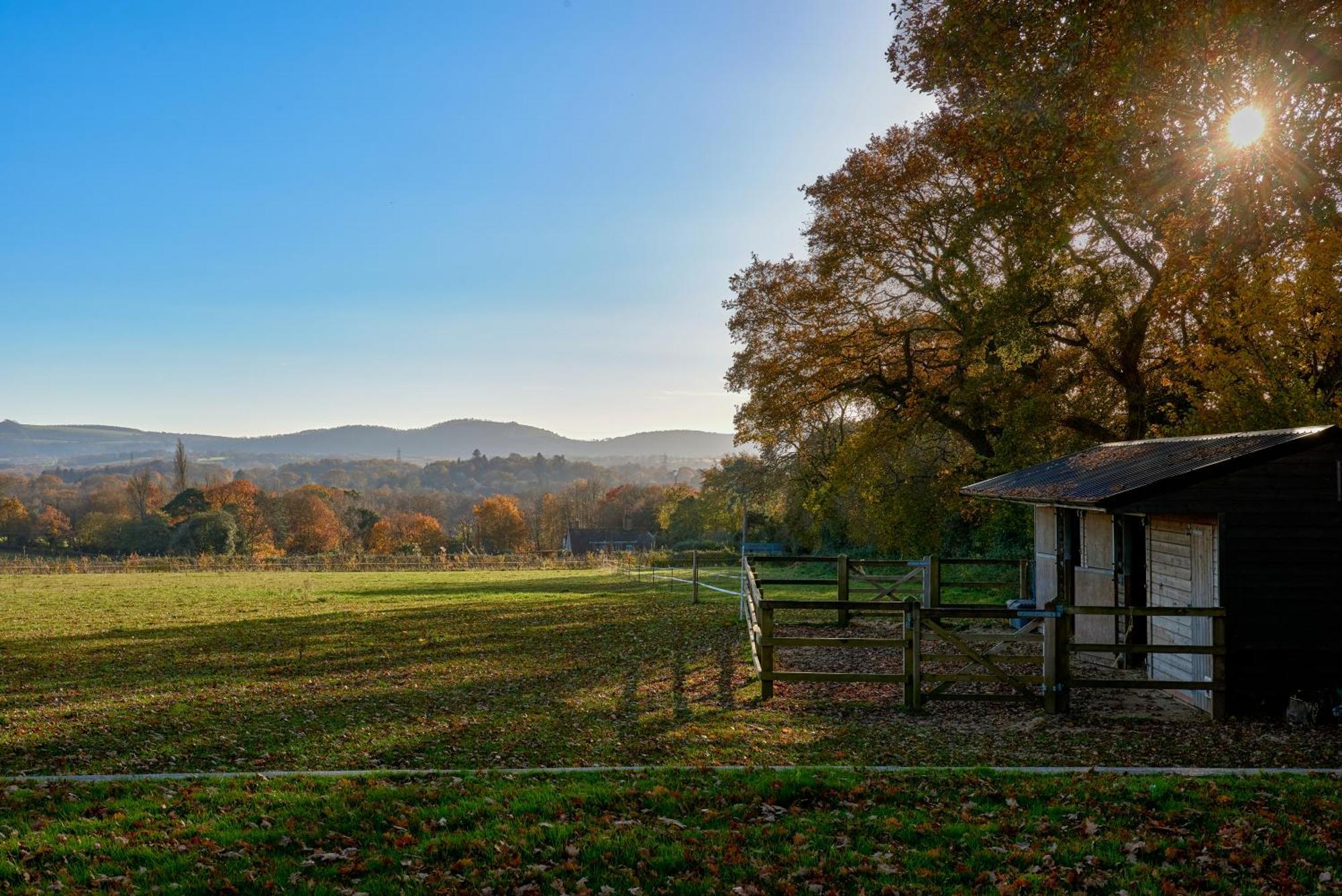 Stunning Cabin With Incredible Views Near Goodwood Rogate ภายนอก รูปภาพ