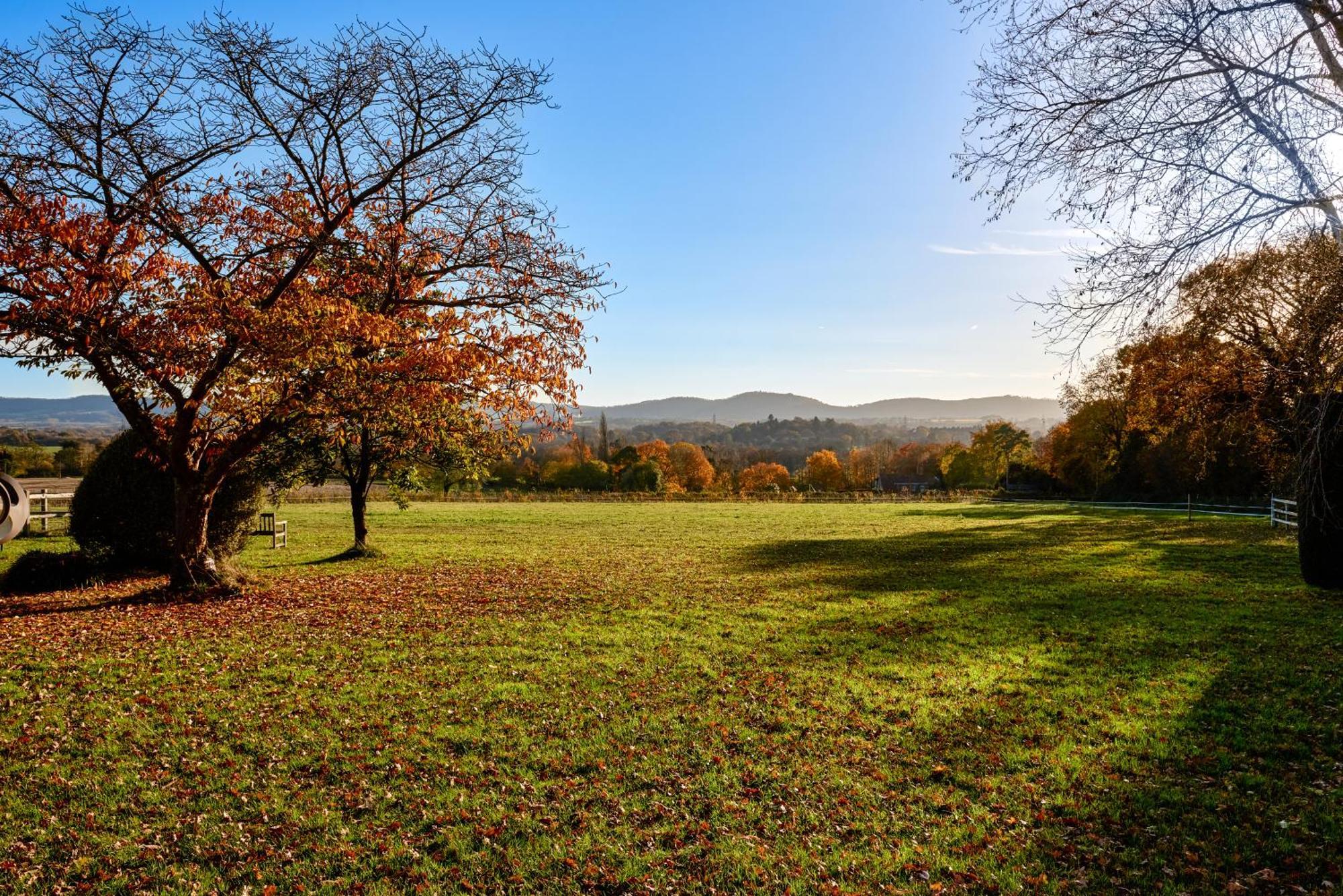 Stunning Cabin With Incredible Views Near Goodwood Rogate ภายนอก รูปภาพ