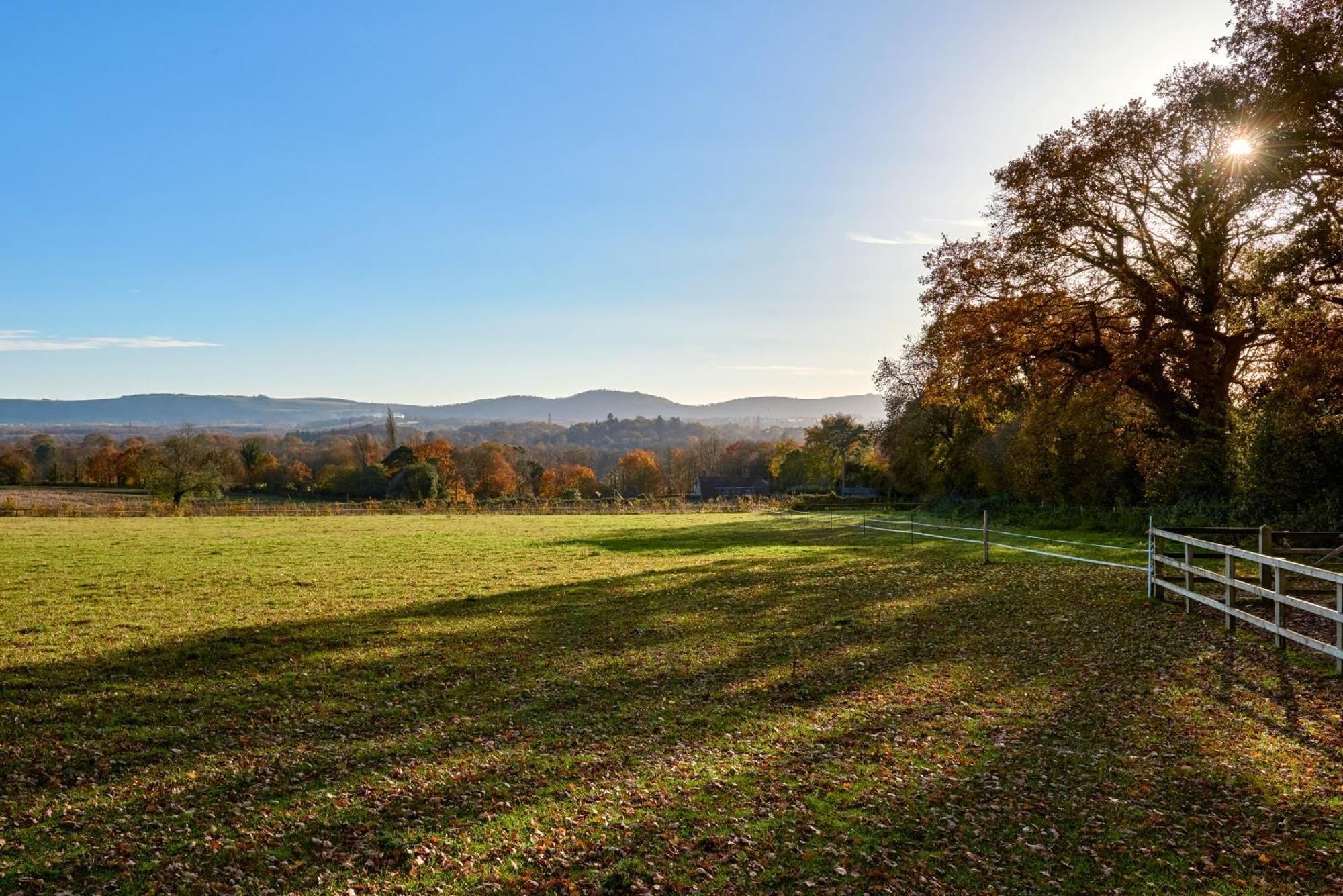 Stunning Cabin With Incredible Views Near Goodwood Rogate ภายนอก รูปภาพ