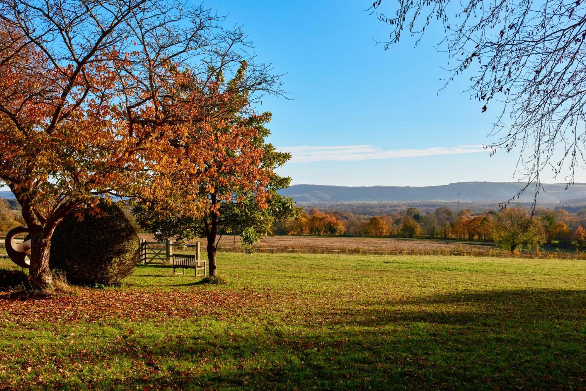 Stunning Cabin With Incredible Views Near Goodwood Rogate ภายนอก รูปภาพ