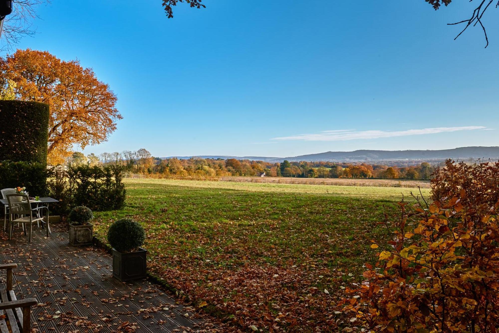 Stunning Cabin With Incredible Views Near Goodwood Rogate ภายนอก รูปภาพ