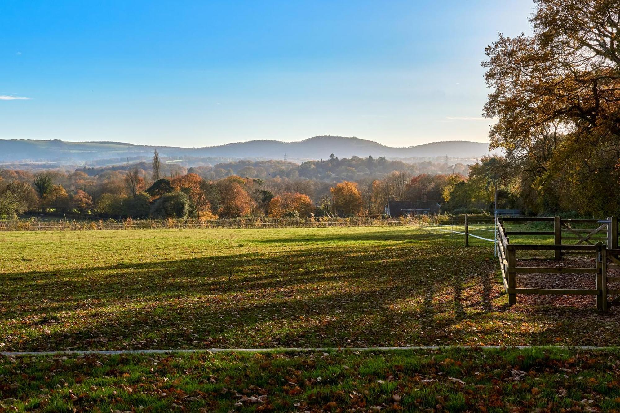 Stunning Cabin With Incredible Views Near Goodwood Rogate ภายนอก รูปภาพ