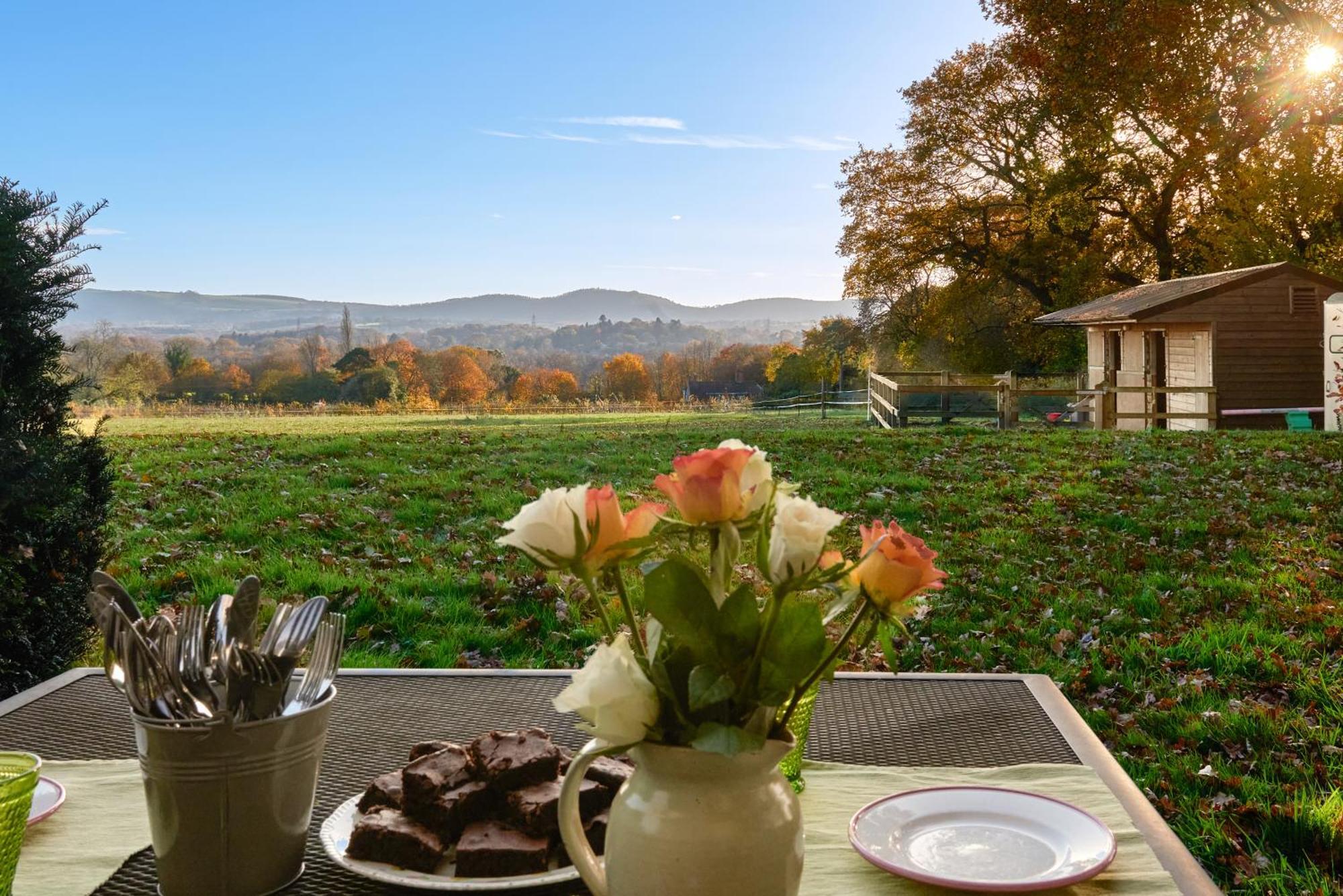 Stunning Cabin With Incredible Views Near Goodwood Rogate ภายนอก รูปภาพ