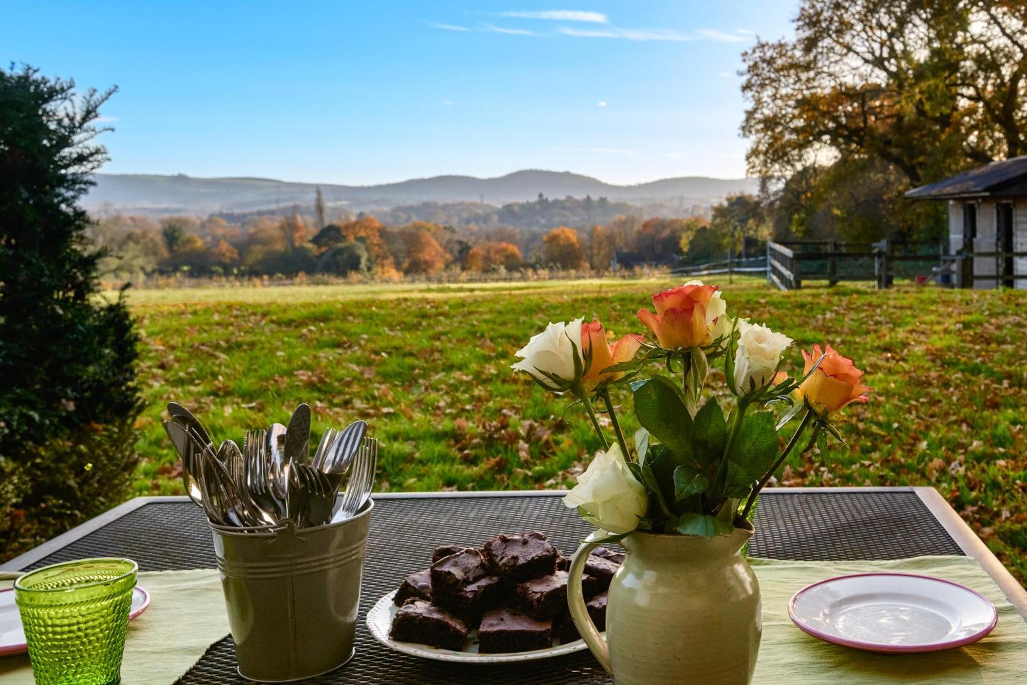 Stunning Cabin With Incredible Views Near Goodwood Rogate ภายนอก รูปภาพ