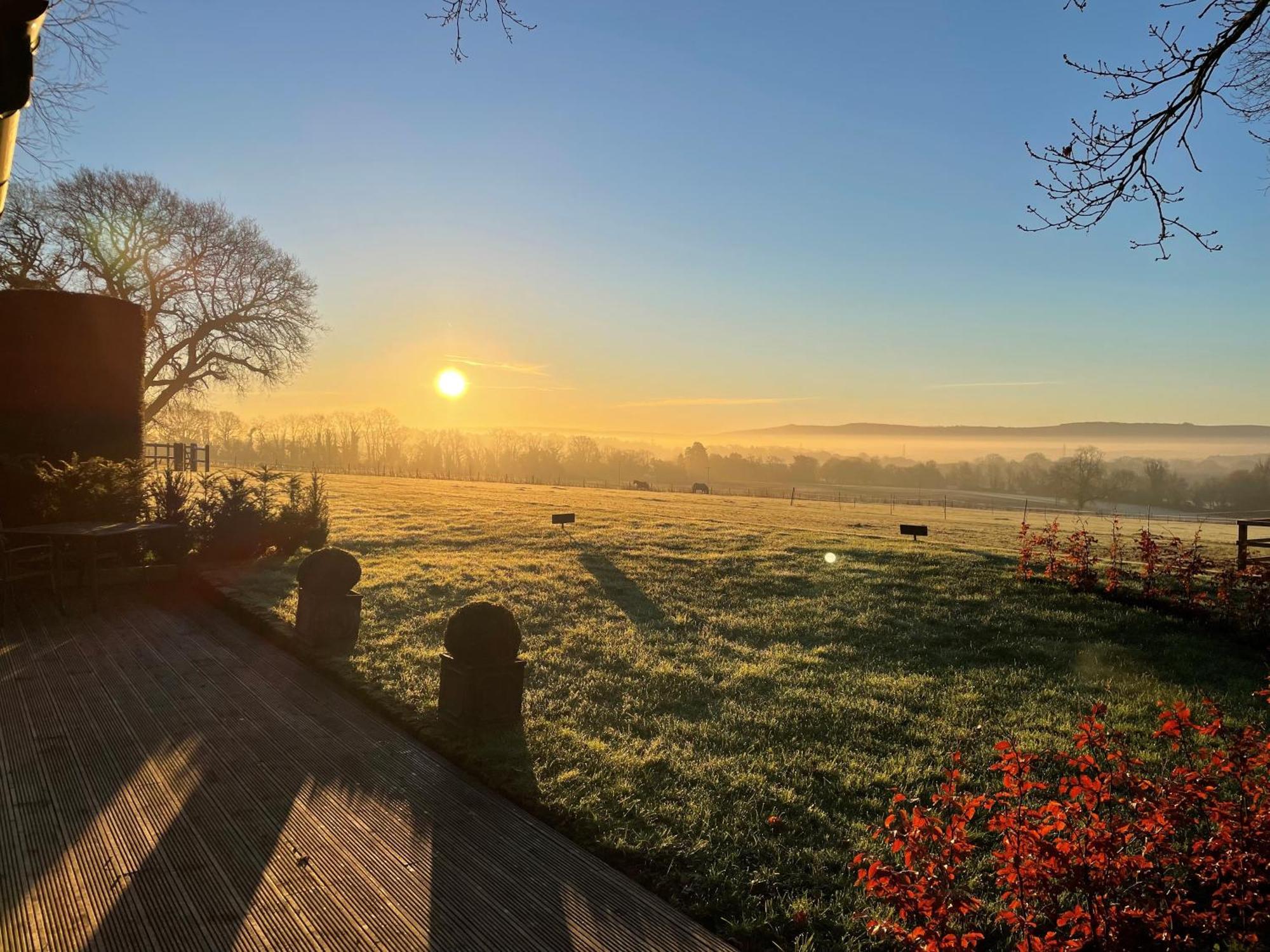 Stunning Cabin With Incredible Views Near Goodwood Rogate ภายนอก รูปภาพ